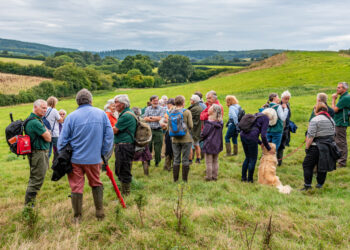 Work with the Friends of the Quantocks!
