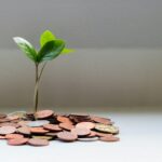 A generous donation