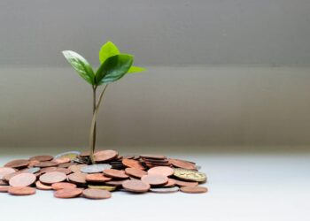 A generous donation