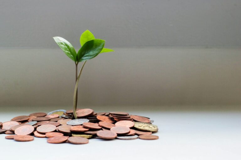 A generous donation