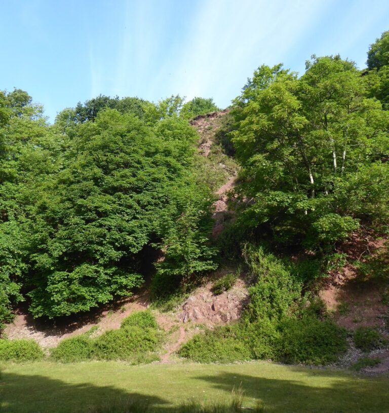 Bicknoller Quarry Geology