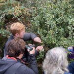 Elms and Hairstreaks