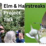 Elms and Hairstreaks