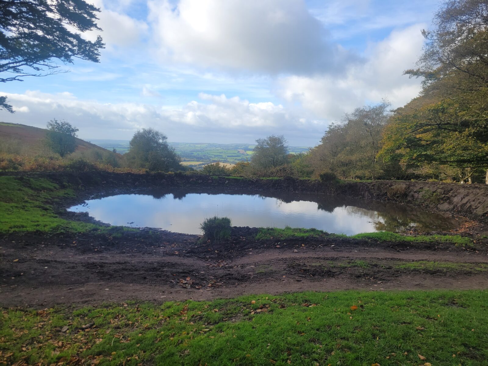 Pond life - Friends of the Quantocks